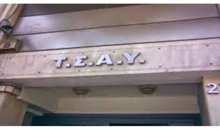 tsay